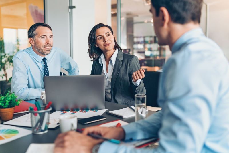Logiciel Camele'on® - In-Edit Luxembourg (comptes annuels, ecdf, TVA, fiscalité...)