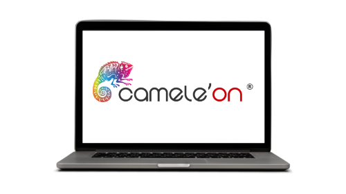 In-Edit - logiciel Camele'on pour fiduciaires, comptables et professionnels du chiffre Luxembourg